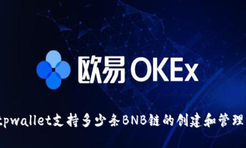 tpwallet支持多少条BNB链的创建和管理？