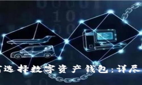 如何选择数字资产钱包：详尽指南