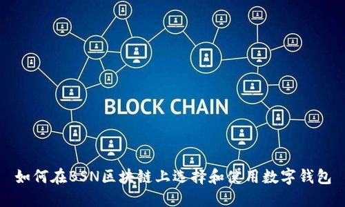 如何在BSN区块链上选择和使用数字钱包