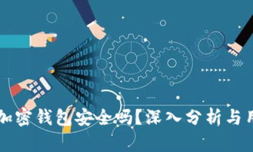 中文版加密钱包安全吗？深入分析与用户指南