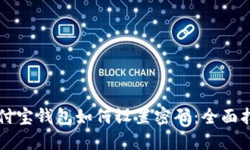 支付宝钱包如何设置密码：全面指南