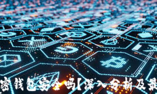 
私人加密钱包安全吗？深入分析及最佳选择