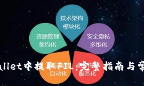 如何在TPWallet中提取FIL：完整指南与常见问题解答