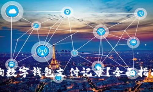 如何高效查询数字钱包支付记录？全面指南与实用技巧