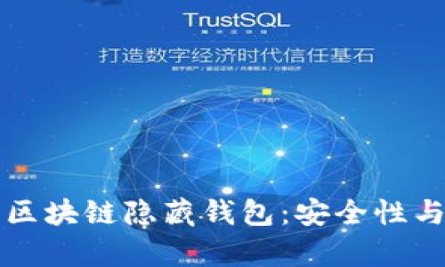 全面剖析区块链隐藏钱包：安全性与使用指南