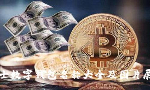 :
女士数字钱包名称大全及图片展示