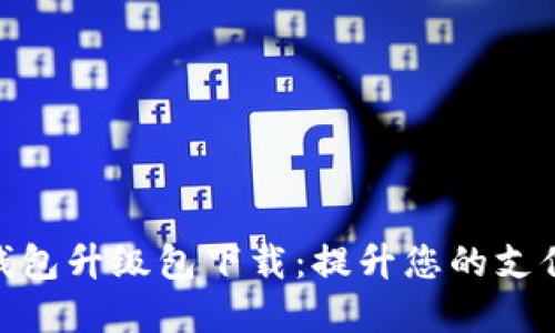 数字钱包升级包下载：提升您的支付体验