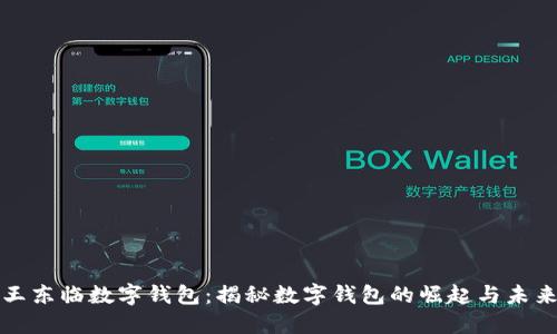 王东临数字钱包：揭秘数字钱包的崛起与未来