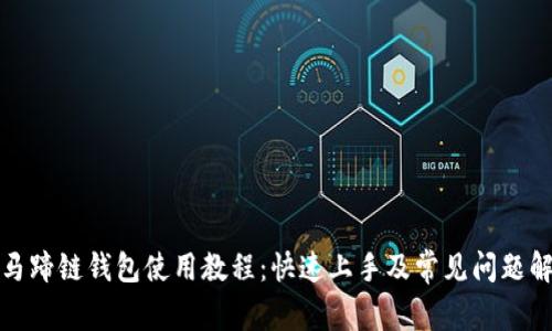 TP马蹄链钱包使用教程：快速上手及常见问题解答