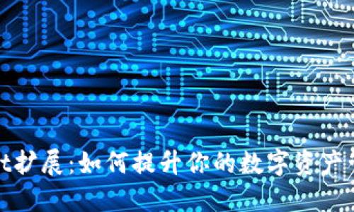 TPWallet扩展：如何提升你的数字资产管理体验