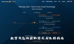 数字钱包的获取方式与选