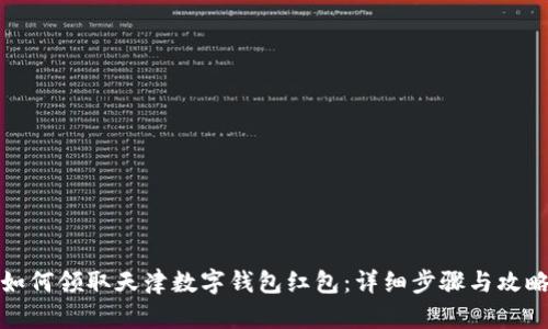 如何领取天津数字钱包红包：详细步骤与攻略