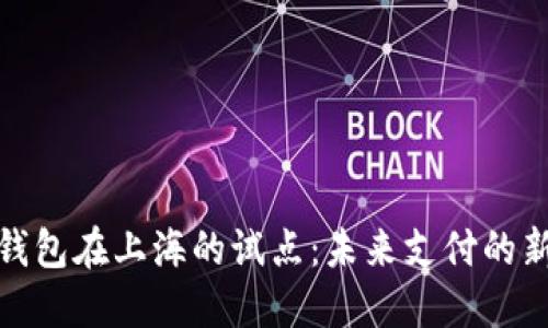 数字钱包在上海的试点：未来支付的新趋势