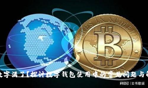 : 钱包数字满了？探讨数字钱包使用中的常见问题与解决方案