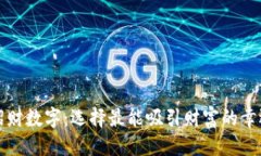 优质钱包招财数字：选择