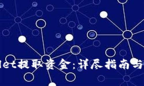 如何从TPWallet提取资金：详尽指南与常见问题解答