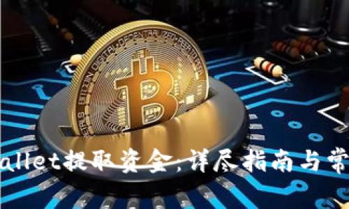 如何从TPWallet提取资金：详尽指南与常见问题解答