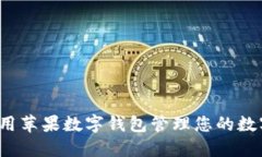 如何使用苹果数字钱包管