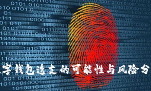 数字钱包透支的可能性与风险分析