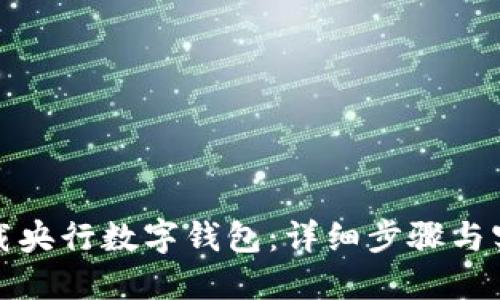 如何下载央行数字钱包：详细步骤与实用技巧