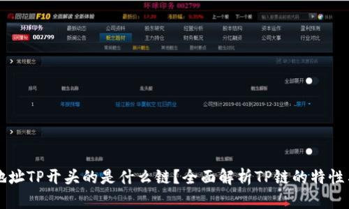 钱包地址TP开头的是什么链？全面解析TP链的特性与应用