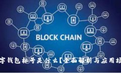 数字钱包标号是什么？全