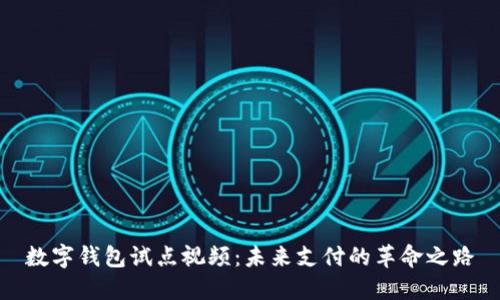数字钱包试点视频：未来支付的革命之路