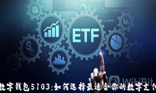 
全面解析数字钱包5103：如何选择最适合你的数字支付解决方案