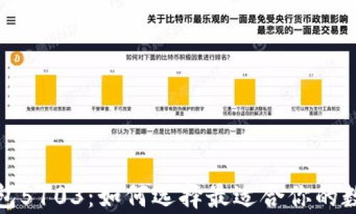 
全面解析数字钱包5103：如何选择最适合你的数字支付解决方案