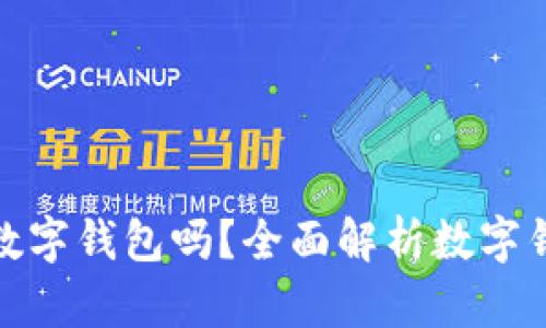 你真的需要数字钱包吗？全面解析数字钱包的利与弊