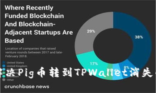 如何解决Pig币转到TPWallet消失的问题