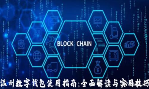 
温州数字钱包使用指南：全面解读与实用技巧