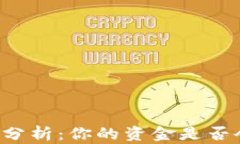 TPWallet安全性分析：你的资