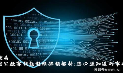 优质
对公数字钱包转账限额解析：您必须知道的事项