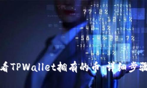 如何查看TPWallet拥有的币：详细步骤与指南