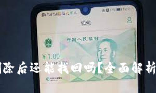 TPWallet删除后还能找回吗？全面解析与实践指南