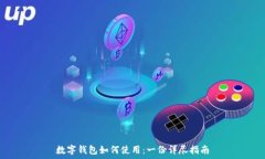  数字钱包如何使用：一份