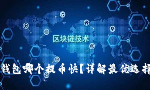 虚拟币加密钱包哪个提币快？详解最优选择与使用技巧