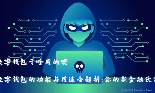 数字钱包干啥用的呀

数字钱包的功能与用途全解析：你的新金融伙伴