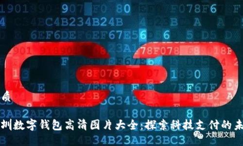 优质

深圳数字钱包高清图片大全：探索科技支付的未来