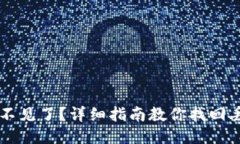 TPWallet不见了？详细指南教
