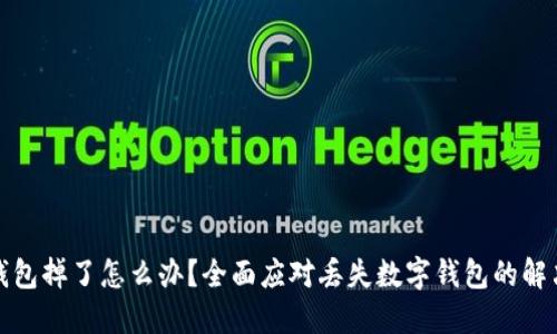 数字钱包掉了怎么办？全面应对丢失数字钱包的解决方案