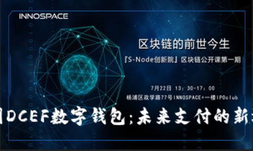 中国DCEF数字钱包：未来支付的新选择