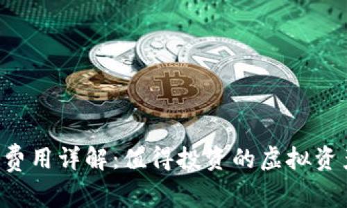 TPWallet使用费用详解：值得投资的虚拟资产管理工具吗？