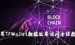 如何使用TPWallet翻墙版本访