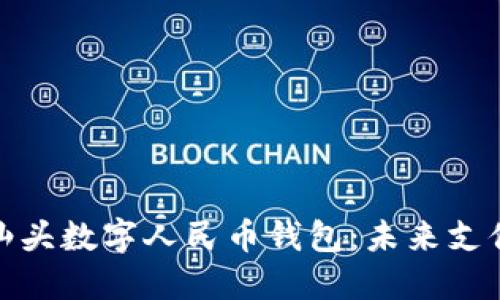 探索广东汕头数字人民币钱包：未来支付的新选择