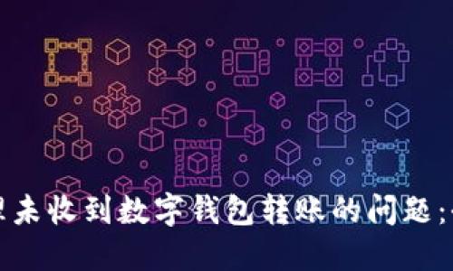 如何处理未收到数字钱包转账的问题：全面指南