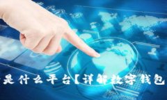 数字钱包号是什么平台？