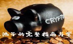 tpwallet撤池子的完整指南与
