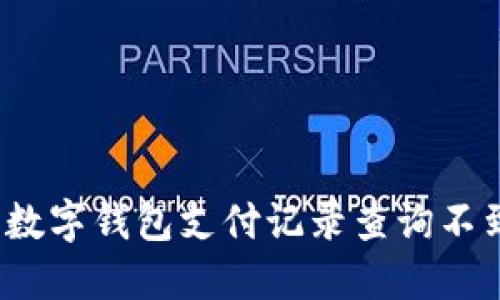 如何解决数字钱包支付记录查询不到的问题？